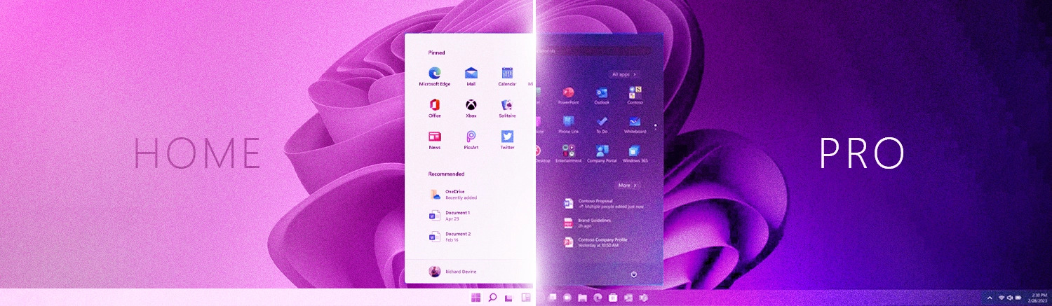 windows 11 home and pro